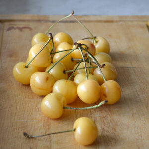 Jaune de Doenissen